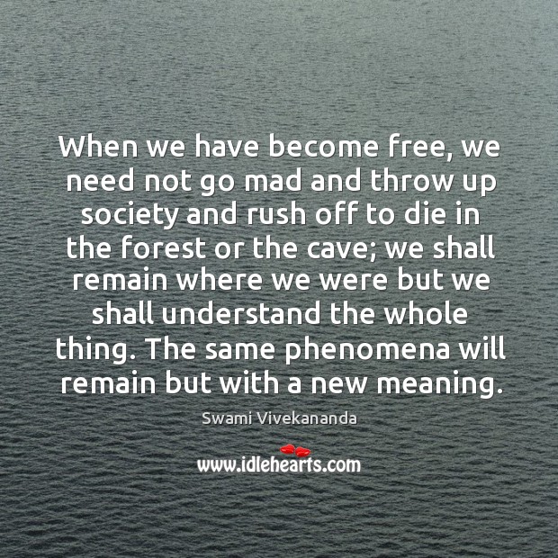 When we have become free, we need not go mad and throw Swami Vivekananda Picture Quote