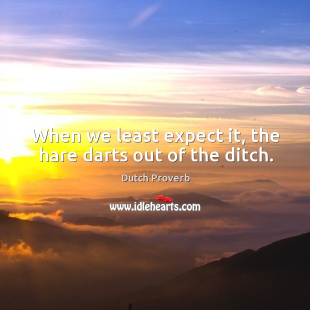 When we least expect it, the hare darts out of the ditch. Dutch Proverbs Image