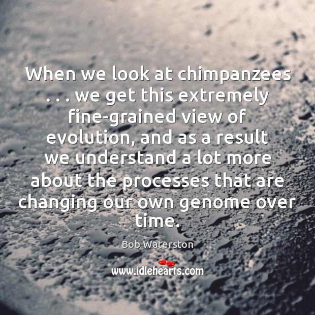 When we look at chimpanzees . . . we get this extremely fine-grained view of Bob Waterston Picture Quote