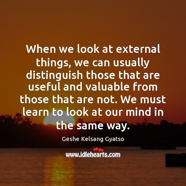 When we look at external things, we can usually distinguish those that Geshe Kelsang Gyatso Picture Quote