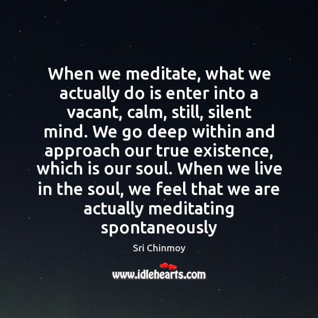When we meditate, what we actually do is enter into a vacant, Sri Chinmoy Picture Quote