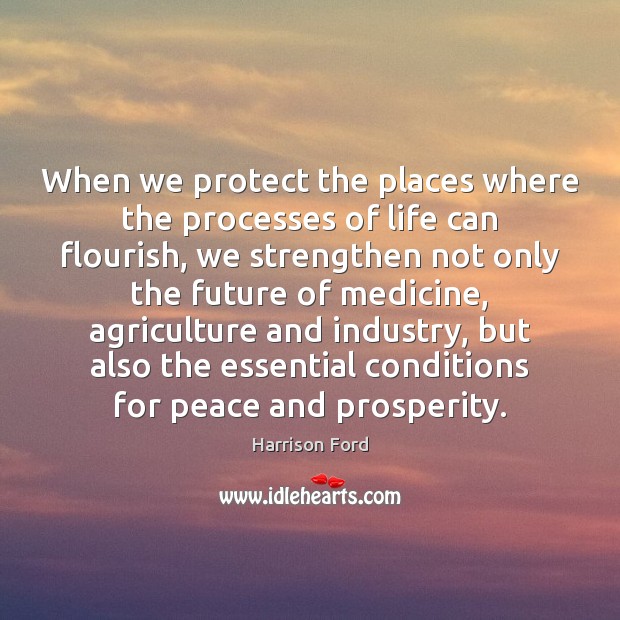 When we protect the places where the processes of life can flourish, Harrison Ford Picture Quote