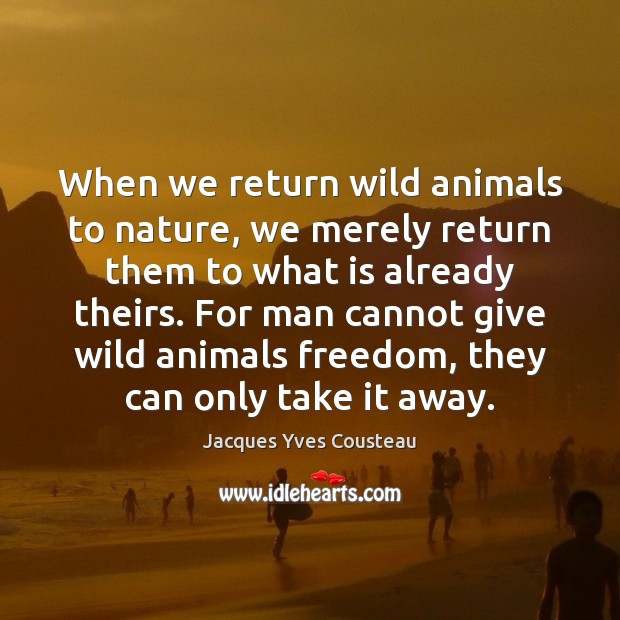 When we return wild animals to nature, we merely return them to Jacques Yves Cousteau Picture Quote