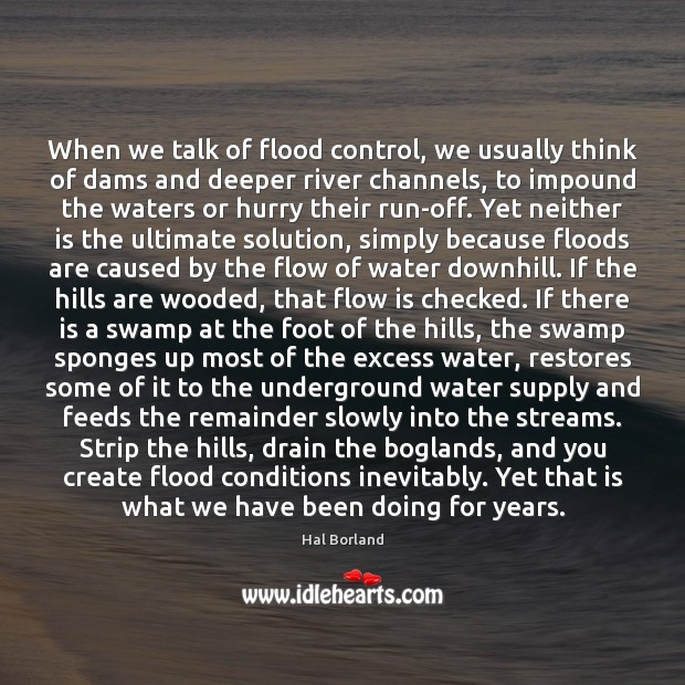 When we talk of flood control, we usually think of dams and Hal Borland Picture Quote