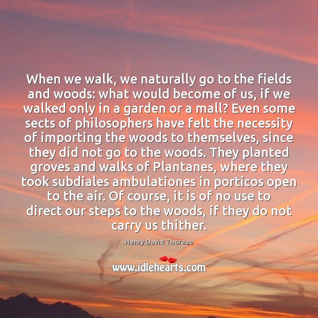 When we walk, we naturally go to the fields and woods: what Image