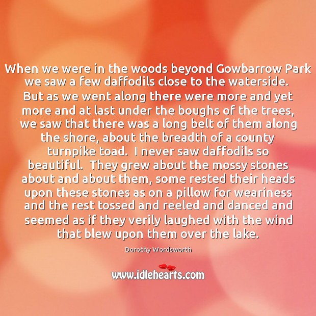 When we were in the woods beyond Gowbarrow Park we saw a Dorothy Wordsworth Picture Quote