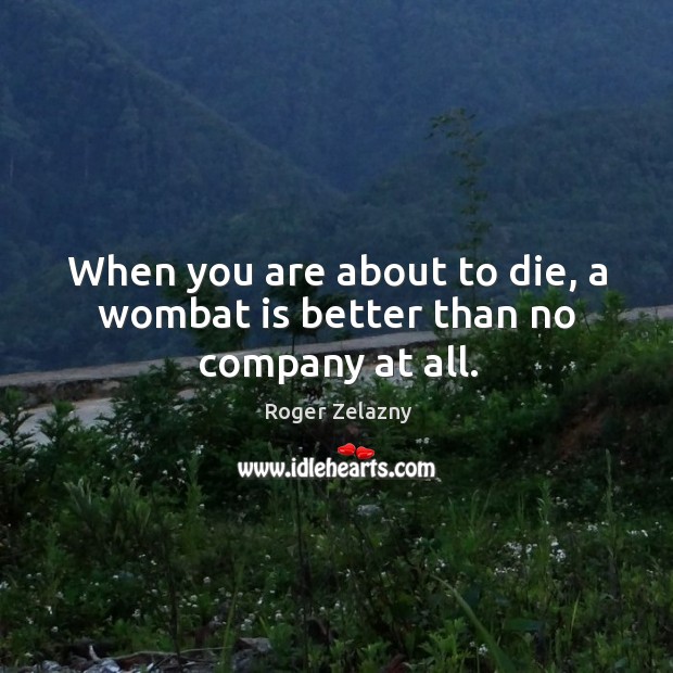 When you are about to die, a wombat is better than no company at all. Roger Zelazny Picture Quote