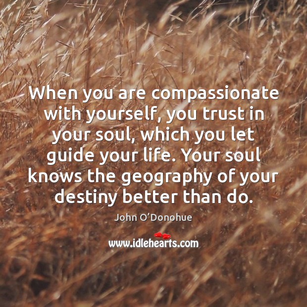 When you are compassionate with yourself, you trust in your soul, which John O’Donohue Picture Quote