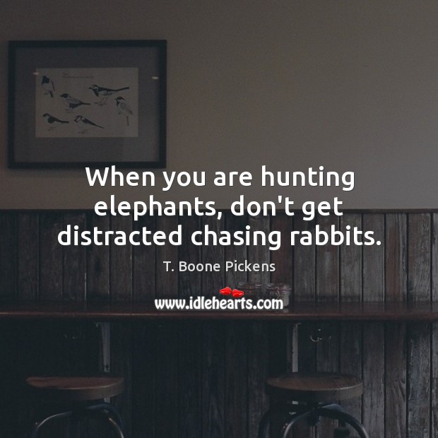 When you are hunting elephants, don’t get distracted chasing rabbits. T. Boone Pickens Picture Quote