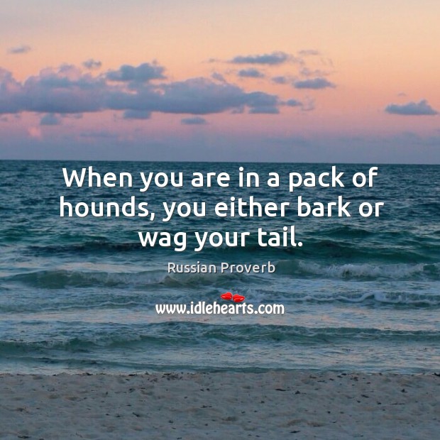 When you are in a pack of hounds, you either bark or wag your tail. Russian Proverbs Image