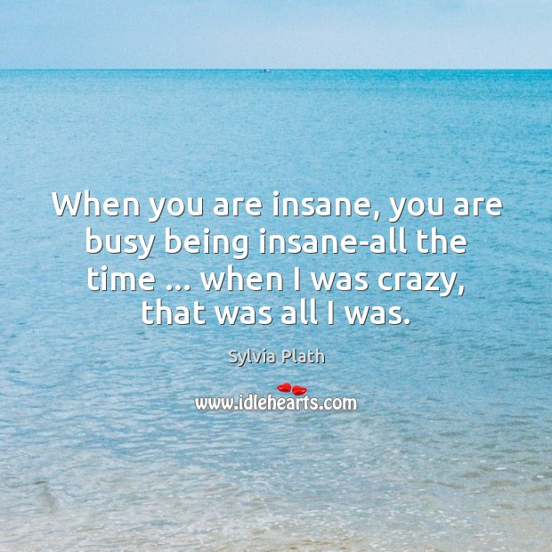 When you are insane, you are busy being insane-all the time … when Sylvia Plath Picture Quote