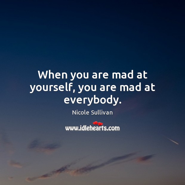 When you are mad at yourself, you are mad at everybody. Nicole Sullivan Picture Quote