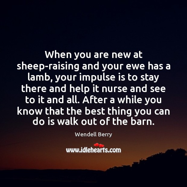 When you are new at sheep-raising and your ewe has a lamb, Wendell Berry Picture Quote