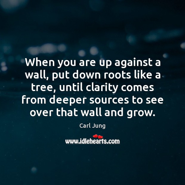 When you are up against a wall, put down roots like a Carl Jung Picture Quote
