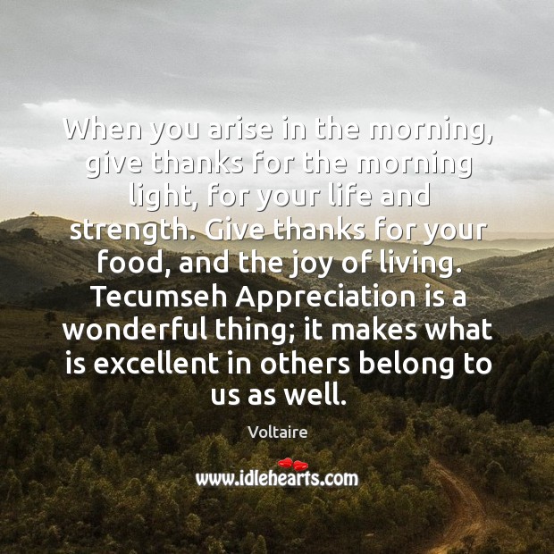 When you arise in the morning, give thanks for the morning light, Voltaire Picture Quote