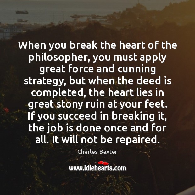 When you break the heart of the philosopher, you must apply great Charles Baxter Picture Quote