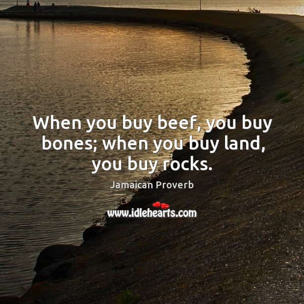 When you buy beef, you buy bones; when you buy land, you buy rocks. Jamaican Proverbs Image
