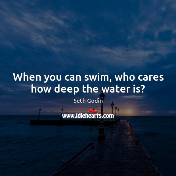When you can swim, who cares how deep the water is? Seth Godin Picture Quote