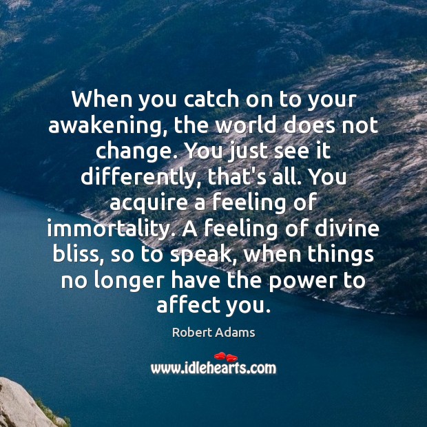 When you catch on to your awakening, the world does not change. Robert Adams Picture Quote