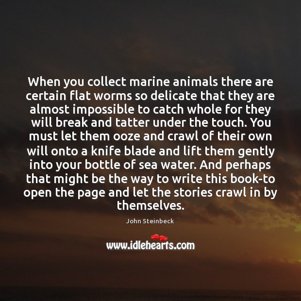 When you collect marine animals there are certain flat worms so delicate John Steinbeck Picture Quote