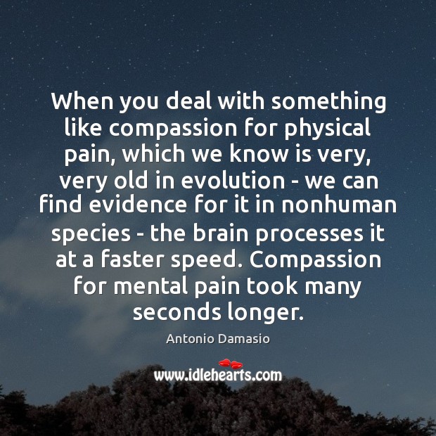 When you deal with something like compassion for physical pain, which we Antonio Damasio Picture Quote