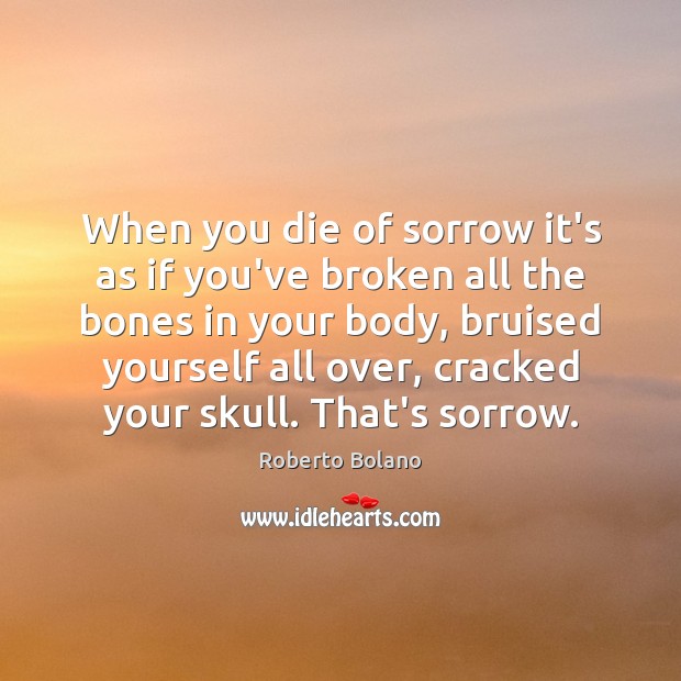 When you die of sorrow it’s as if you’ve broken all the Roberto Bolano Picture Quote