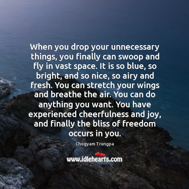 When you drop your unnecessary things, you finally can swoop and fly Chogyam Trungpa Picture Quote