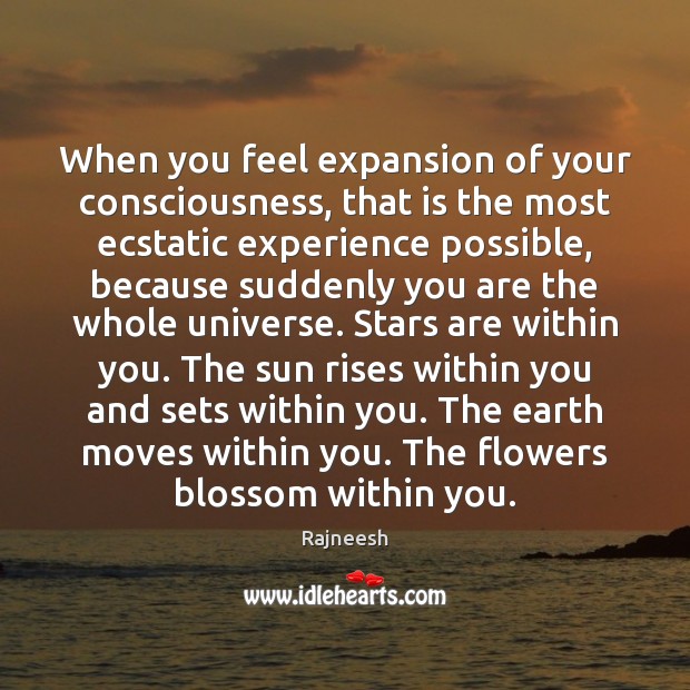 When you feel expansion of your consciousness, that is the most ecstatic Rajneesh Picture Quote