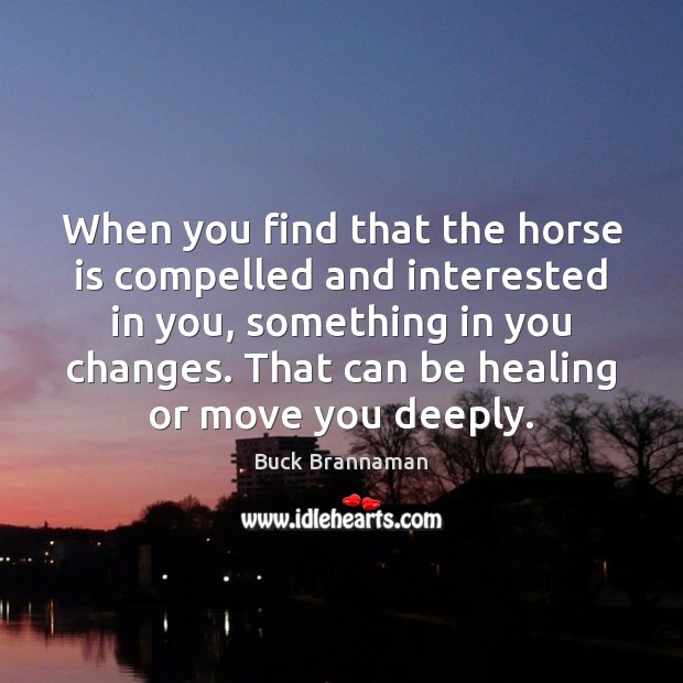 When you find that the horse is compelled and interested in you, Buck Brannaman Picture Quote