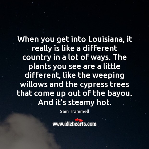 When you get into Louisiana, it really is like a different country Sam Trammell Picture Quote