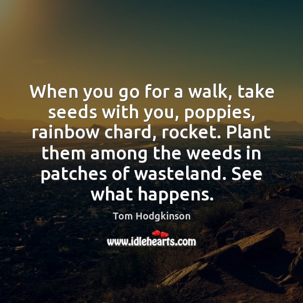 When you go for a walk, take seeds with you, poppies, rainbow Tom Hodgkinson Picture Quote