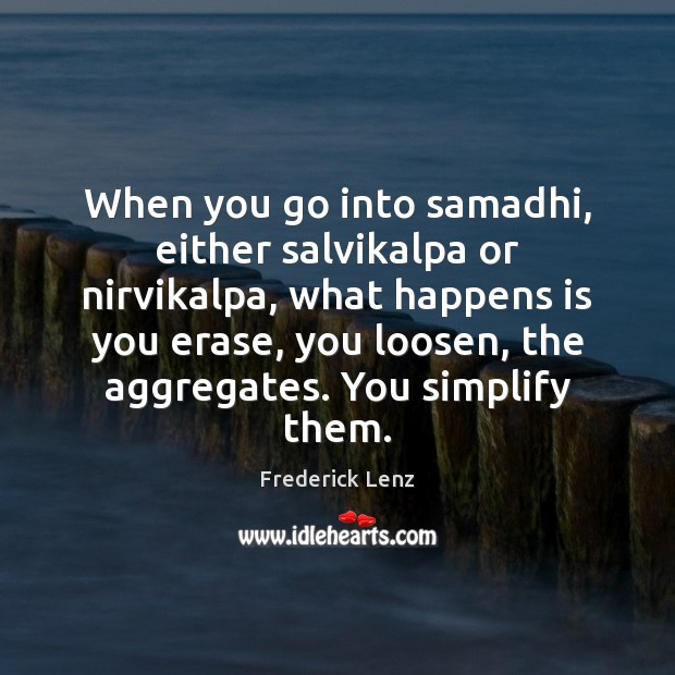 When you go into samadhi, either salvikalpa or nirvikalpa, what happens is Frederick Lenz Picture Quote