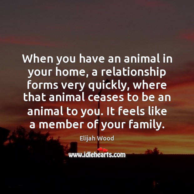 When you have an animal in your home, a relationship forms very Elijah Wood Picture Quote