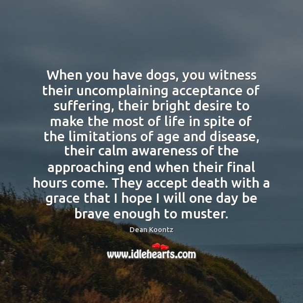 When you have dogs, you witness their uncomplaining acceptance of suffering, their Dean Koontz Picture Quote