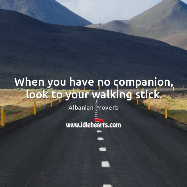 When you have no companion, look to your walking stick. Albanian Proverbs Image