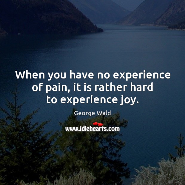 When you have no experience of pain, it is rather hard to experience joy. George Wald Picture Quote