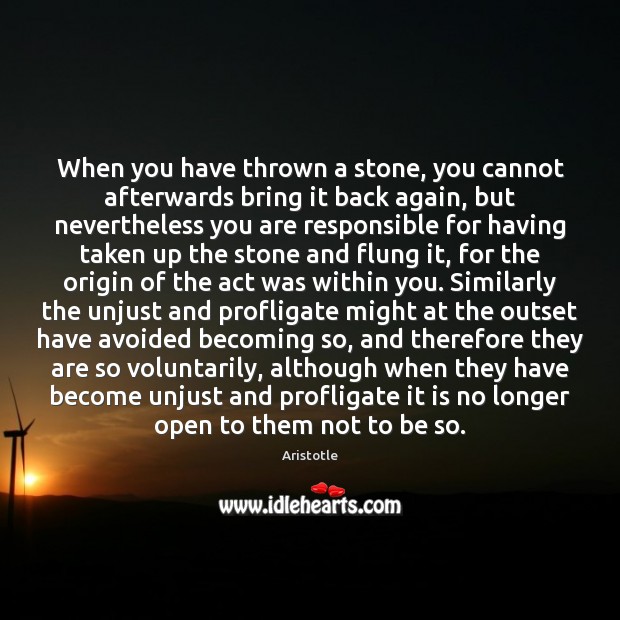 When you have thrown a stone, you cannot afterwards bring it back Aristotle Picture Quote