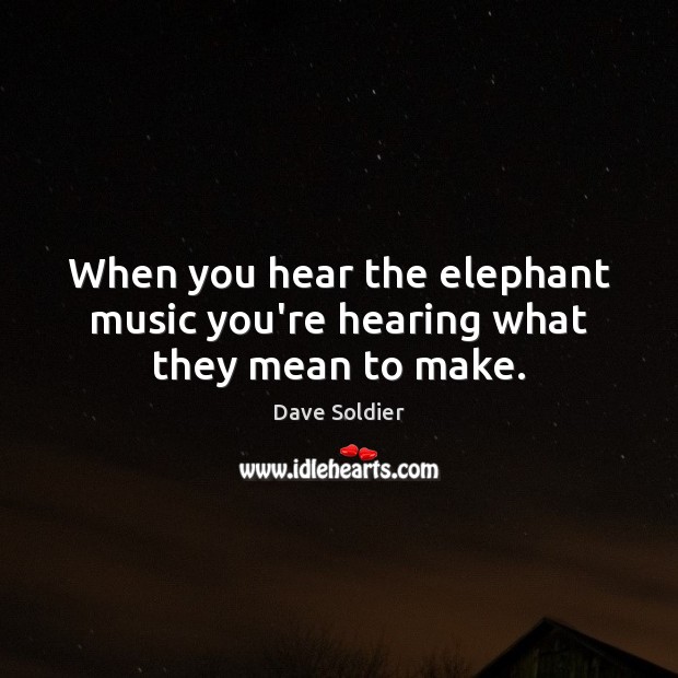 When you hear the elephant music you’re hearing what they mean to make. Image