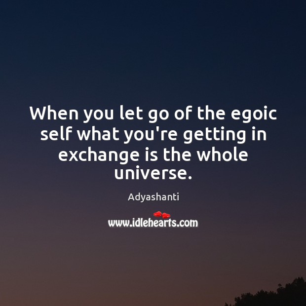 When you let go of the egoic self what you’re getting in exchange is the whole universe. Adyashanti Picture Quote