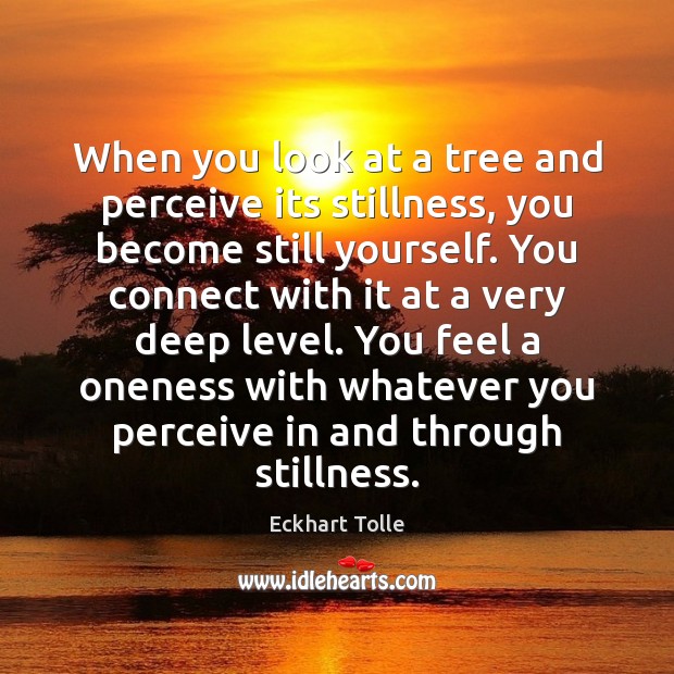 When you look at a tree and perceive its stillness, you become Eckhart Tolle Picture Quote