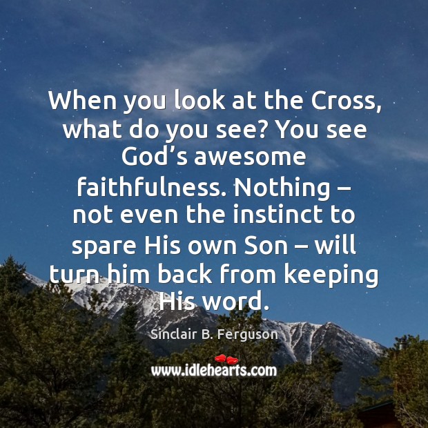 When you look at the Cross, what do you see? You see Sinclair B. Ferguson Picture Quote