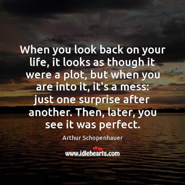 When you look back on your life, it looks as though it Arthur Schopenhauer Picture Quote