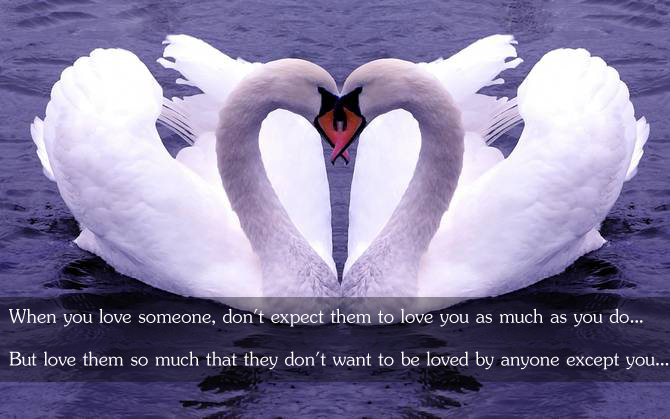 When you love someone, don’t expect them to love you Image