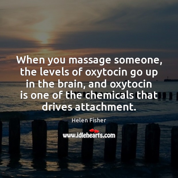 When you massage someone, the levels of oxytocin go up in the Helen Fisher Picture Quote