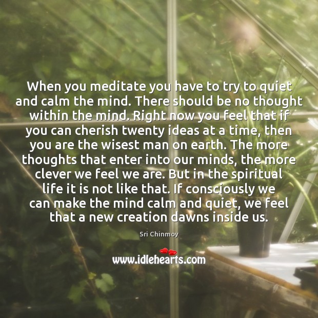 When you meditate you have to try to quiet and calm the Clever Quotes Image