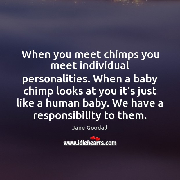 When you meet chimps you meet individual personalities. When a baby chimp Jane Goodall Picture Quote