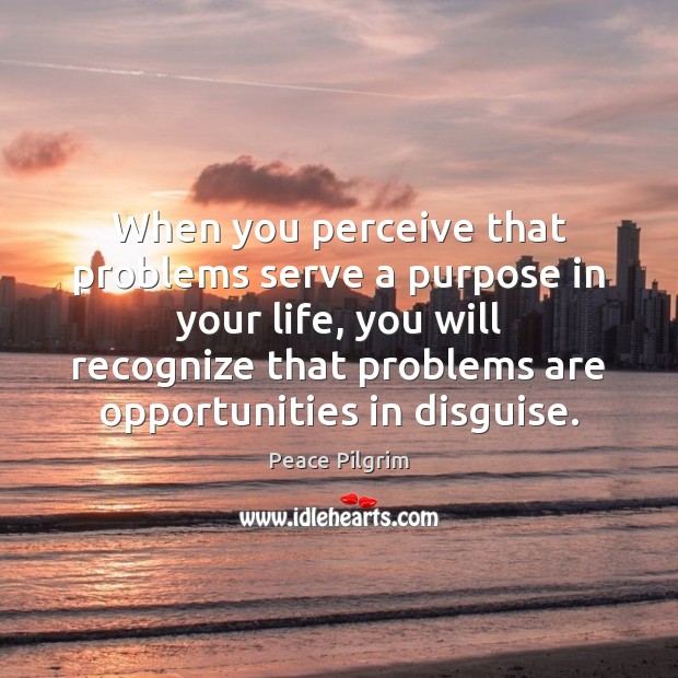 When you perceive that problems serve a purpose in your life, you Peace Pilgrim Picture Quote