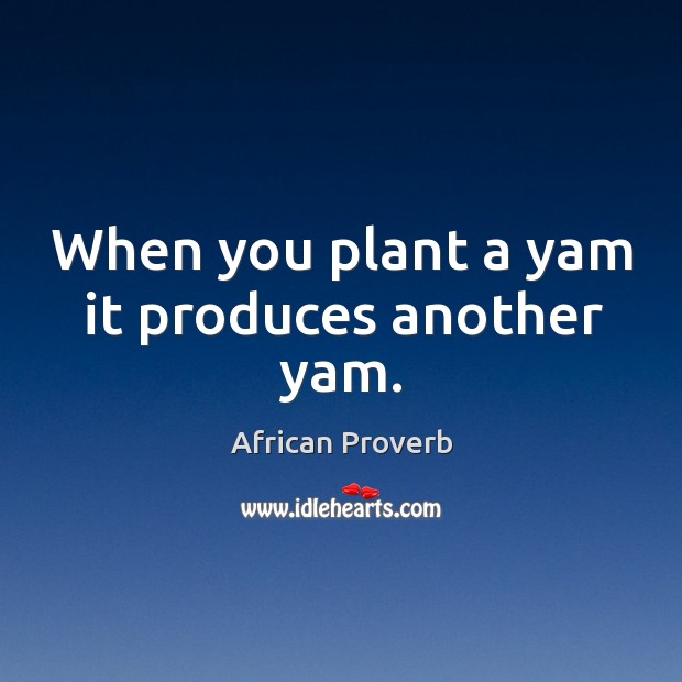When you plant a yam it produces another yam. Image