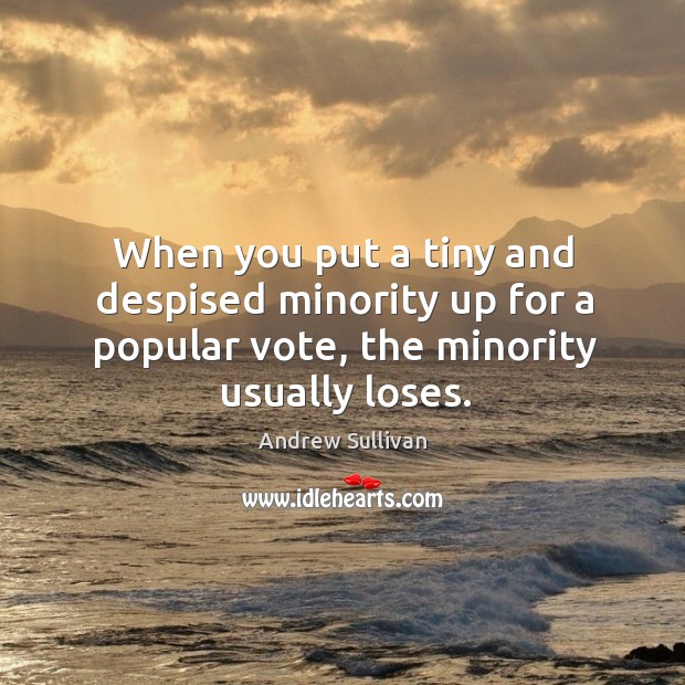 When you put a tiny and despised minority up for a popular vote, the minority usually loses. Andrew Sullivan Picture Quote
