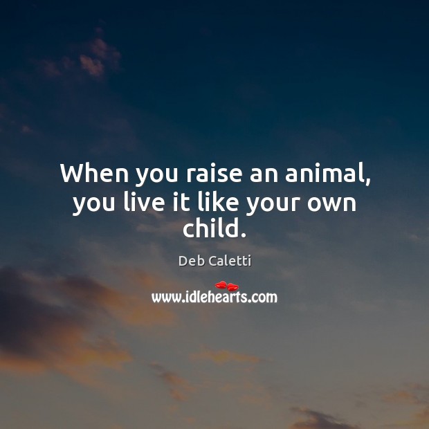 When you raise an animal, you live it like your own child. Deb Caletti Picture Quote